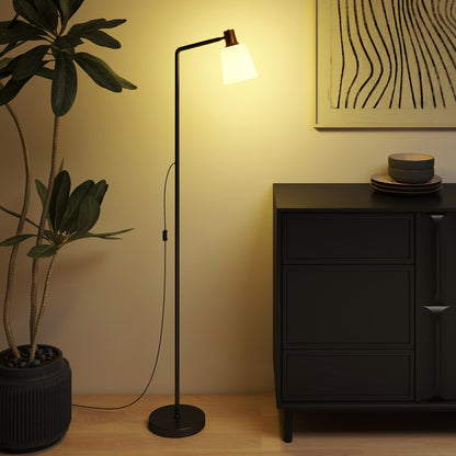Standing Lamp with Rotatable Head, Modern Floor Lamp, Black