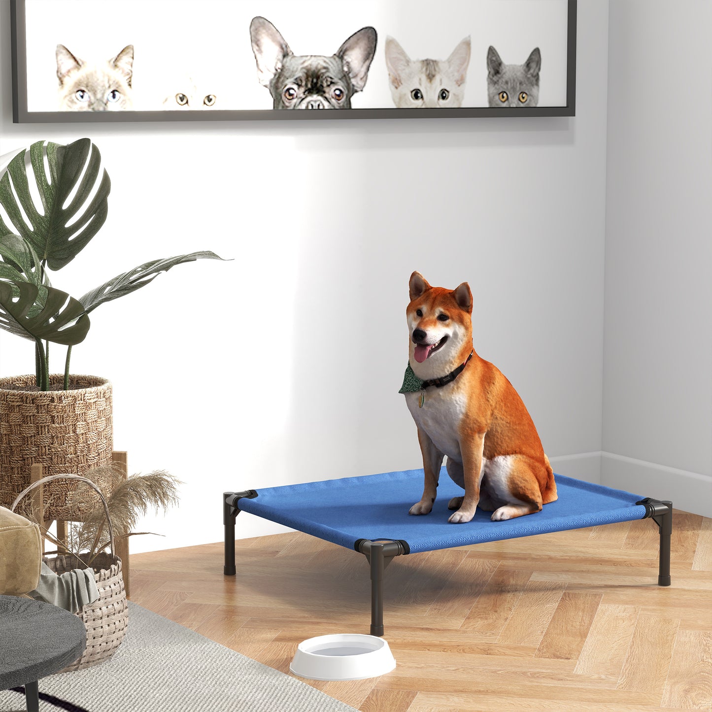 Elevated Dog Bed