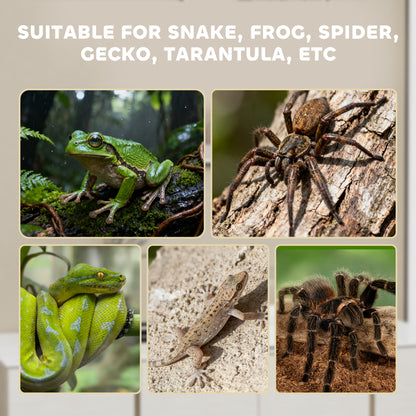 Reptile Terrarium, Vivarium Acrylic for Snake, Gecko, 40 x 30 x 15 cm