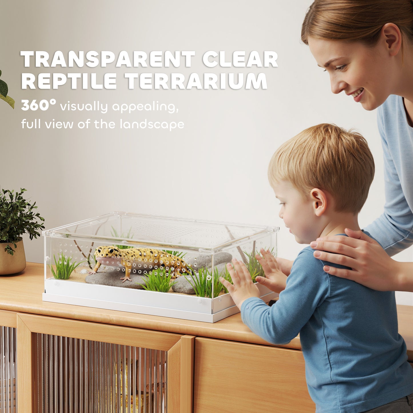 Reptile Terrarium, Vivarium Acrylic for Snake, Gecko, 40 x 30 x 15 cm