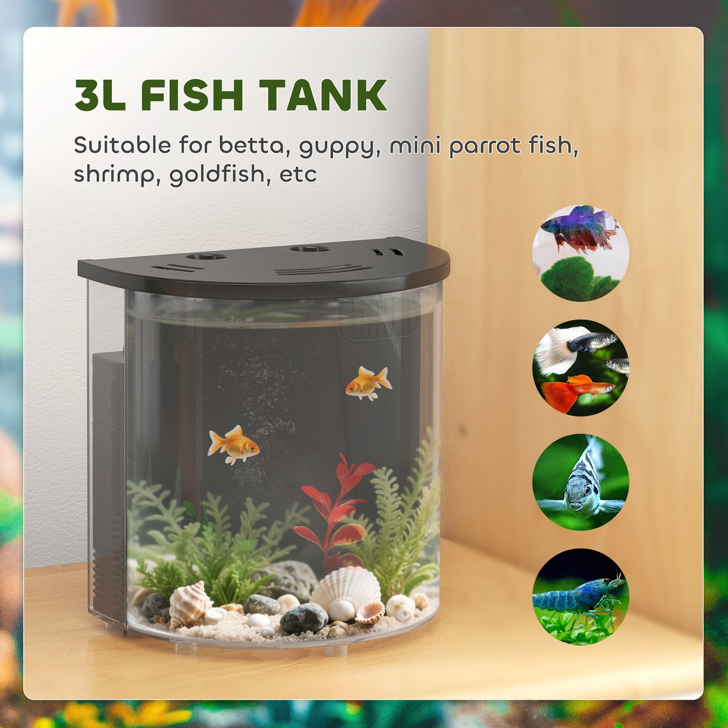 Fish Tank, 3L Nano Aquarium Starter Kit with Filter System, LED Light