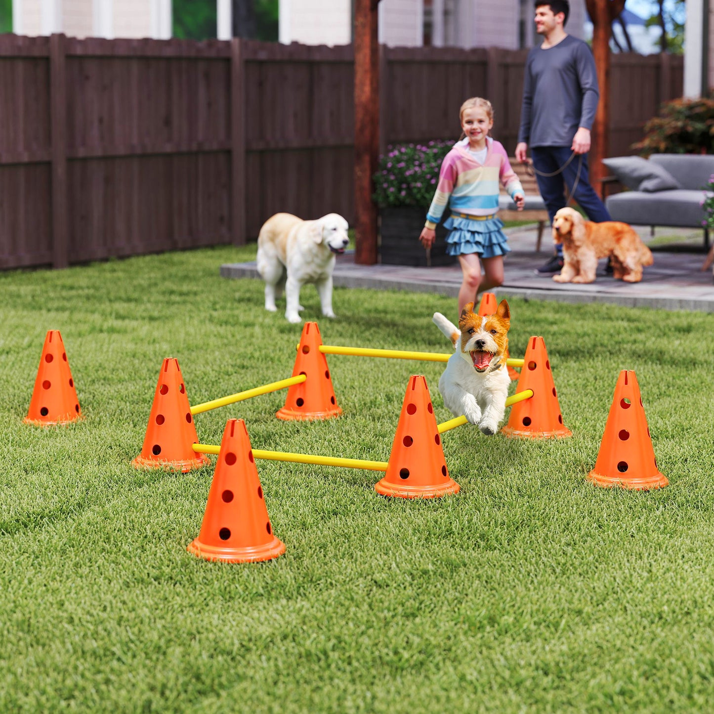 Dog Agility Equipment Set, Four-Piece Adjustable Height Jumping