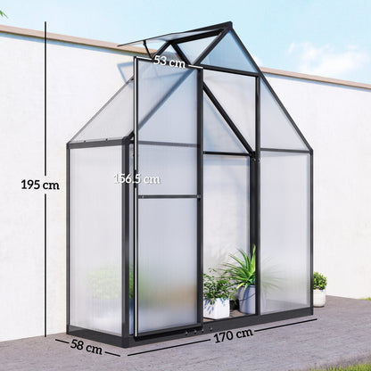 Polycarbonate Greenhouse Garden Green House with Swing Door, Black