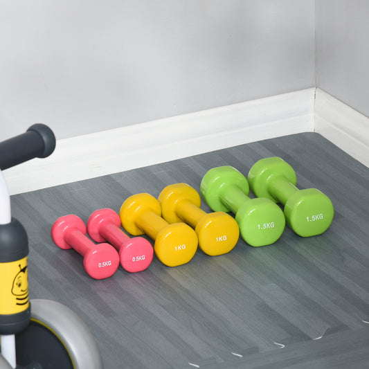 6kg Dumbbell Fitness Weights Set for Men and Women, Home Gym Workout