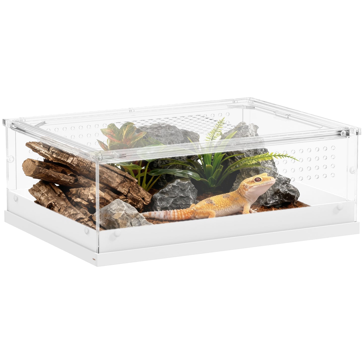 Reptile Terrarium, Vivarium Acrylic for Snake, Gecko, 40 x 30 x 15 cm