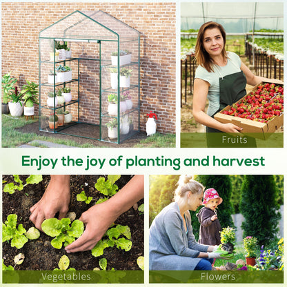 Walk In Greenhouse Garden Clear PVC Frame Shelves Reinforced Plant Grow