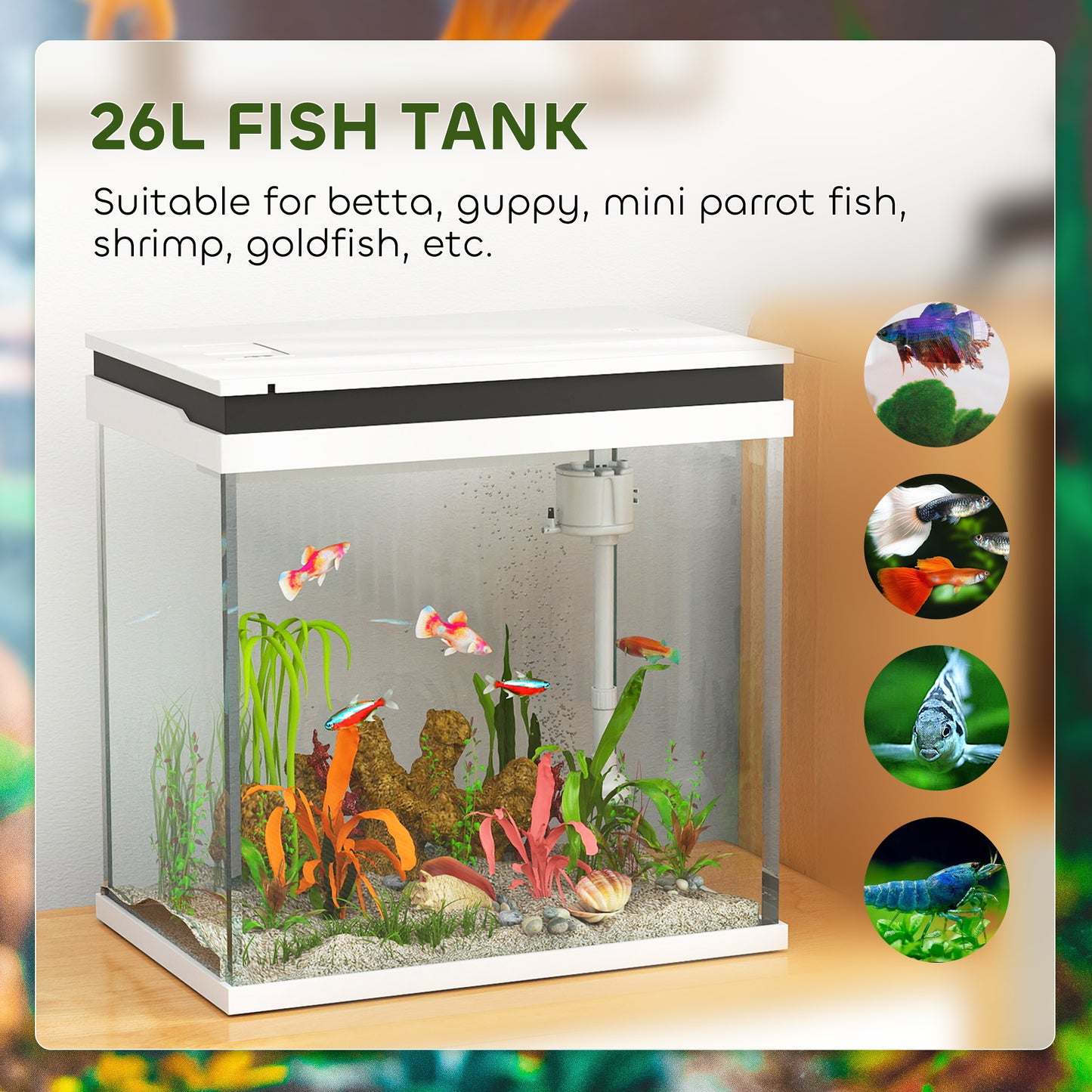 Fish Tank, 26L Glass Aquarium with Filter System, LED Lights, Water Pump, Small Fish Tank for Betta Fish, Goldfish, Shrimps, White