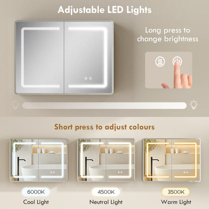 60 x 80 cm LED Bathroom Mirror Cabinet with Double-Sided Mirrors