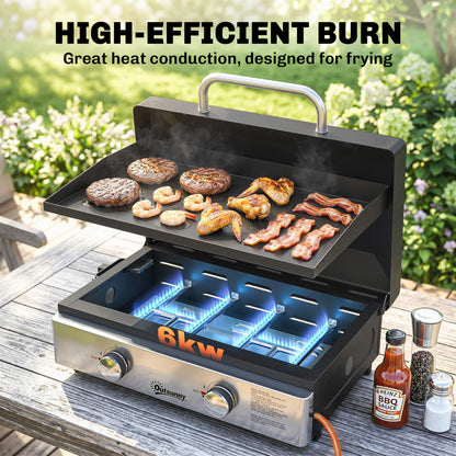 2 Burner Grill Griddle, Tabletop Gas BBQ with Grease Cup, Black