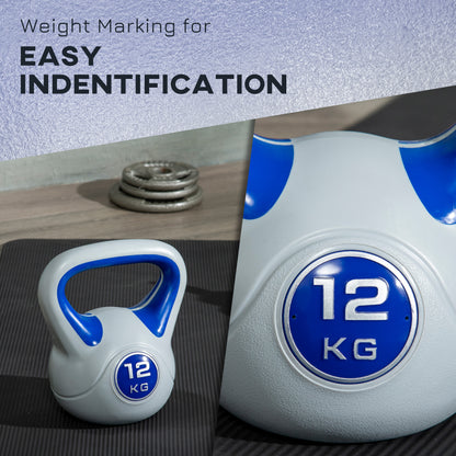 12kg Kettle Bell with Handle for Home Gym, Dark Blue and Grey