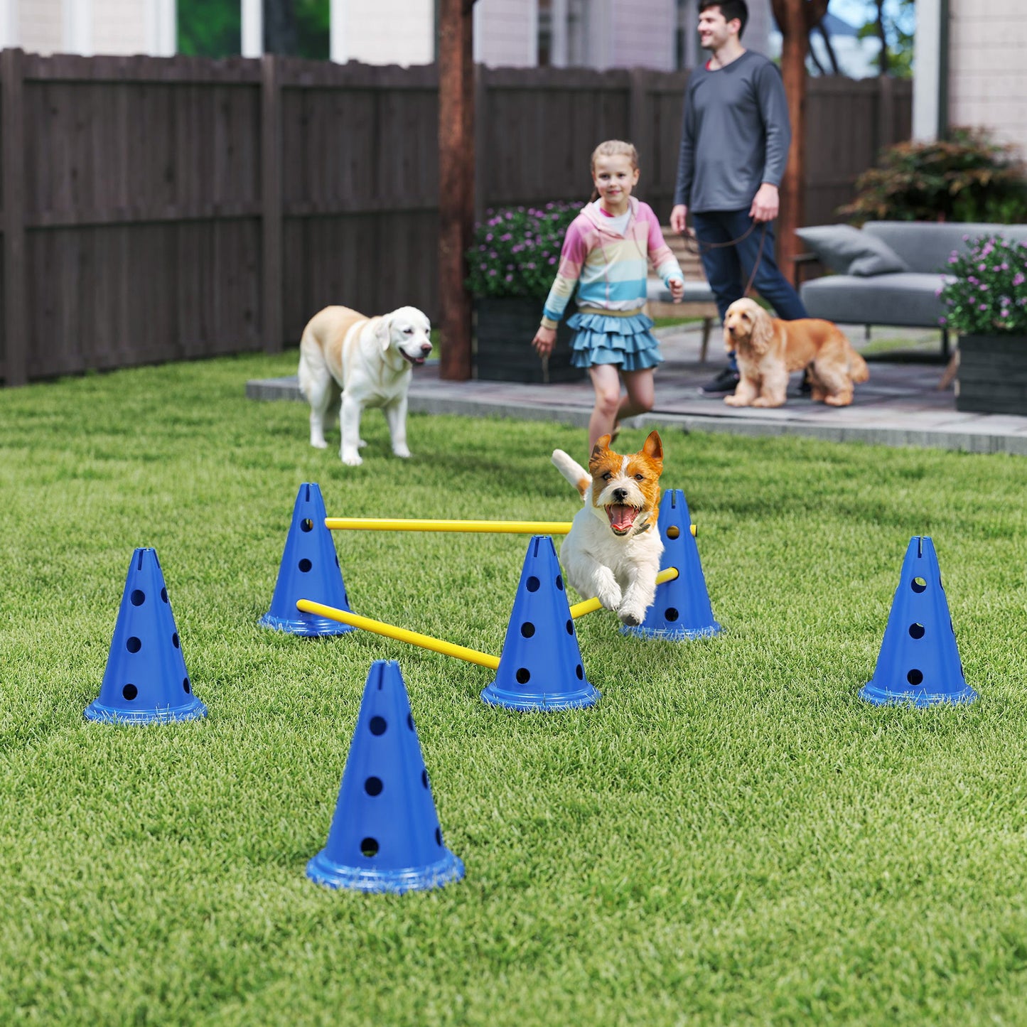 Dog Agility Equipment Set, Three-Piece Adjustable Height Jumping