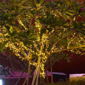 Outdoor Solar Fairy Lights! 100 x Led Lights - Make Your Home Shine With These Sparkling Outdoor Solar Fairy Lights For Just £8.95!