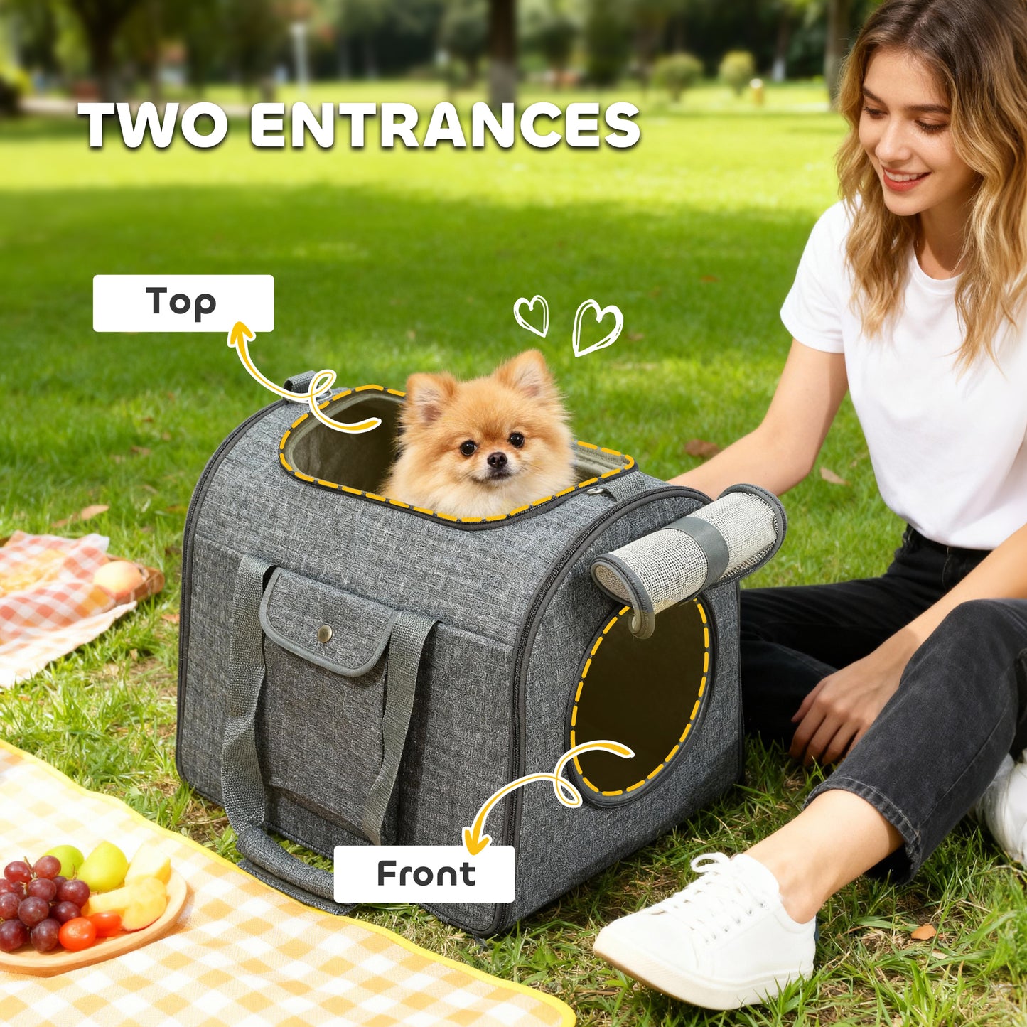Soft Sided Cat Carrier Bag Foldable Portable with Shoulder Strap