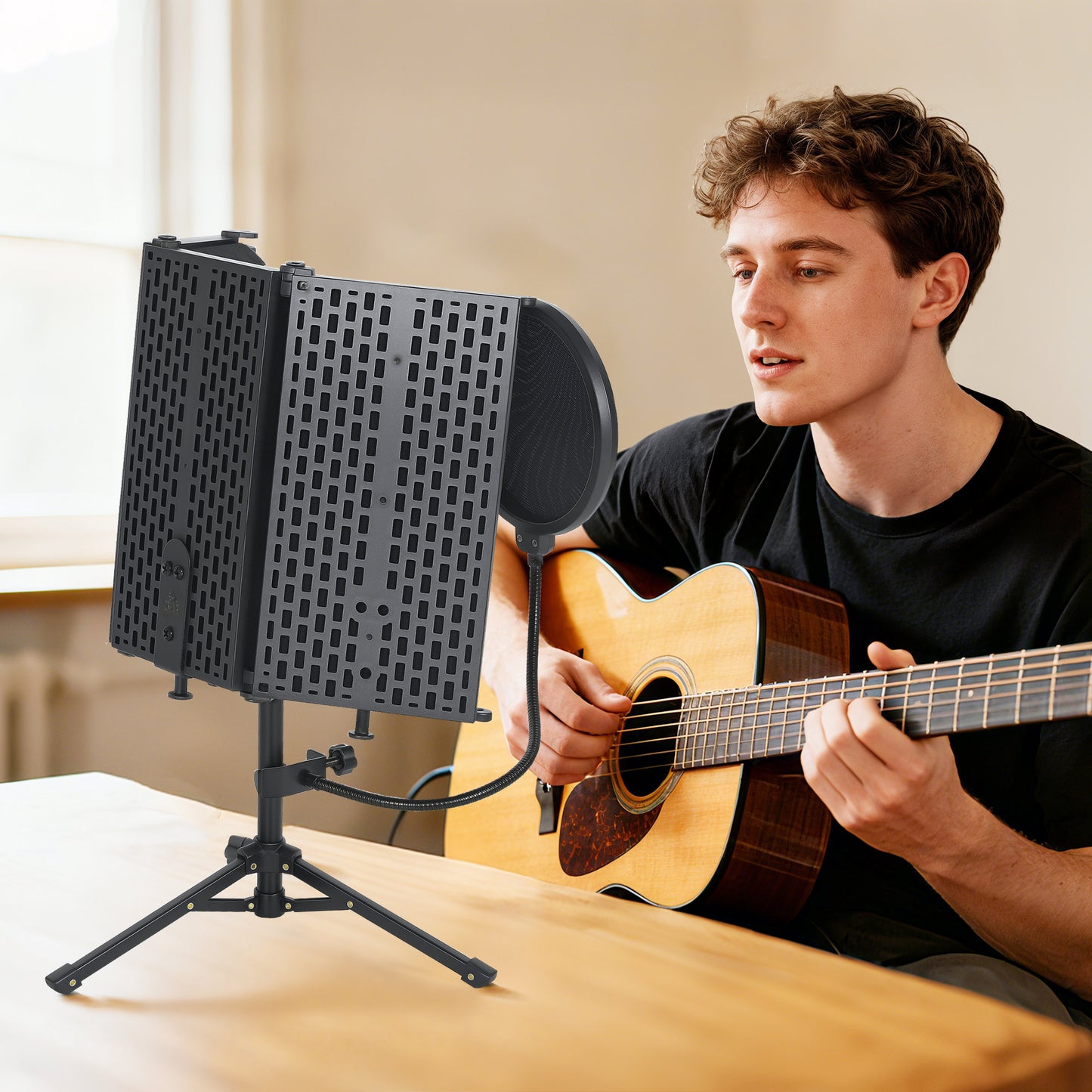 Studio Microphone Isolation Shield with Pop Filter & Stand, Black