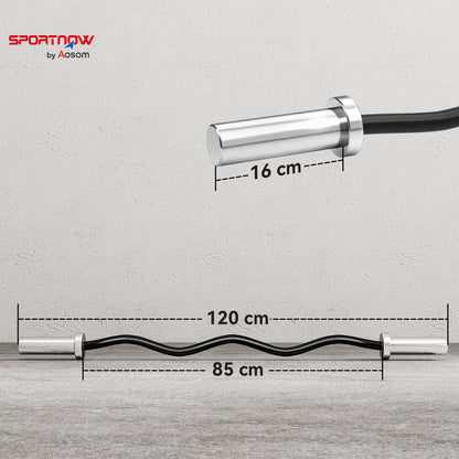 4ft Olympic EZ Curl Bar, Barbell Bar for 2" Weight Plates