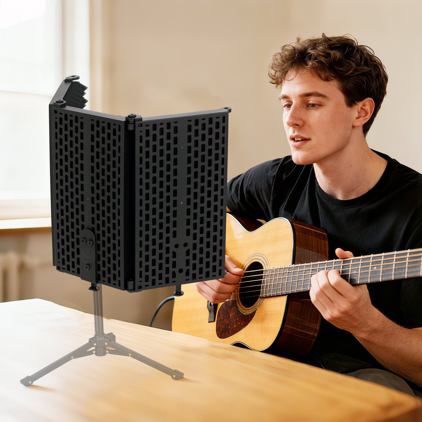 Foldable Table Top Studio Microphone Isolation Shield, Black