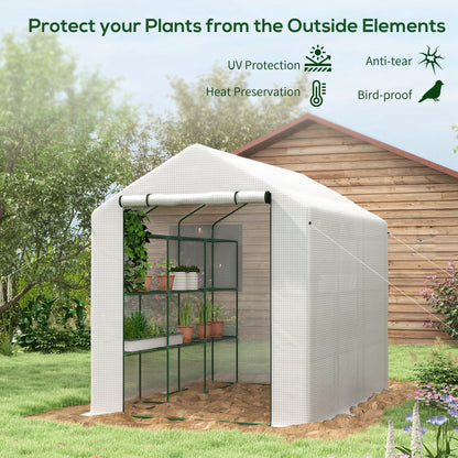 Walk-in Garden Greenhouse Shelves Polytunnel Steeple Grow House