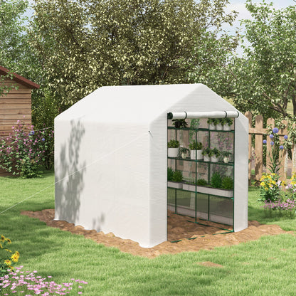 Walk-in Garden Greenhouse Shelves Polytunnel Steeple Grow House