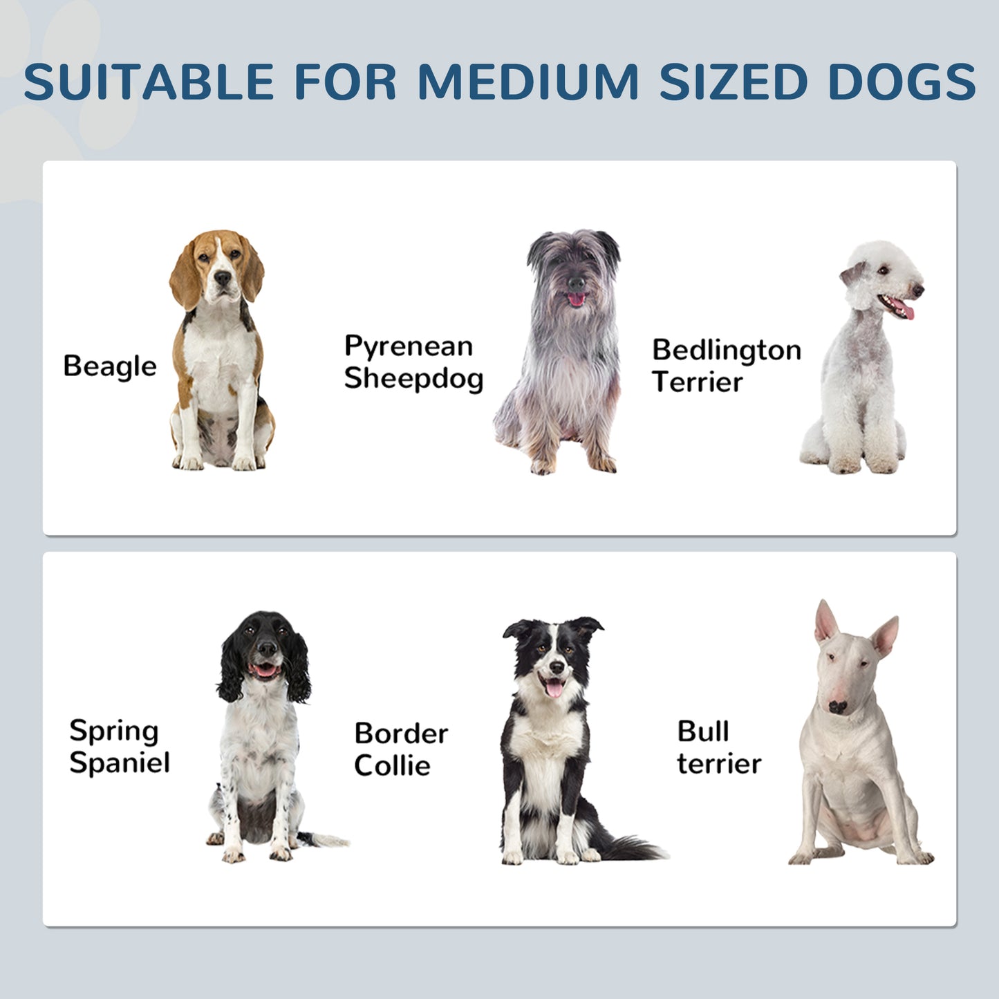 Dog Feeding Station with Storage, Pet Feeding Station with Dog Bowls