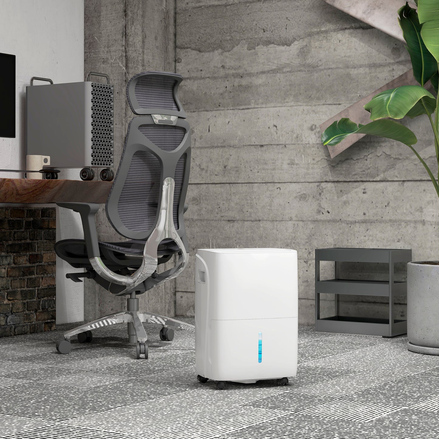 30L/Day Dehumidifier for Home, with Auto-Clean Filter, 24H Timer