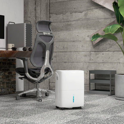 30L/Day Dehumidifier for Home, with Auto-Clean Filter, 24H Timer
