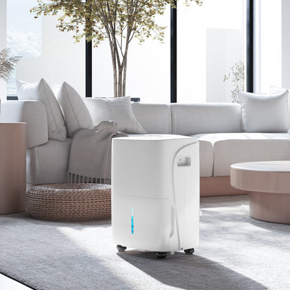 30L/Day Dehumidifier for Home, with Auto-Clean Filter, 24H Timer