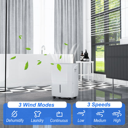 30L/Day Dehumidifier for Home, with Auto-Clean Filter, 24H Timer