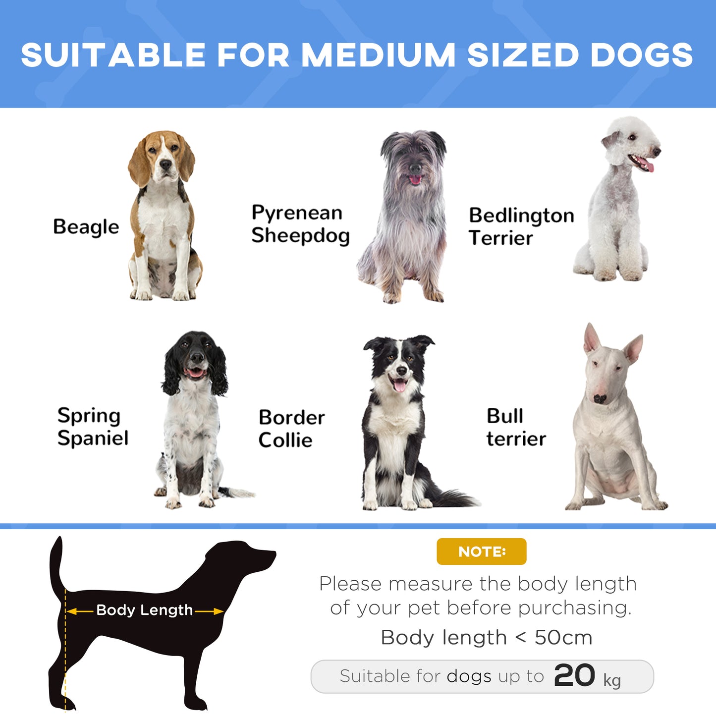Elevated Dog Bed