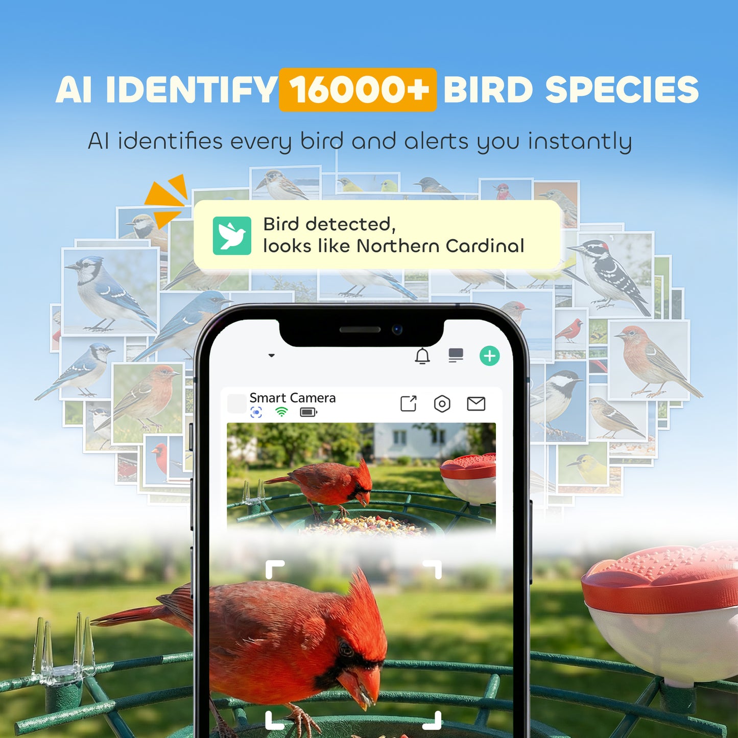 Smart Bird Feeder Camera with AI Identifies 16,000+ Bird Species