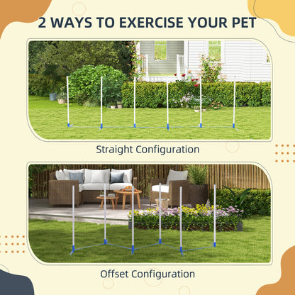 Pet Agility Set