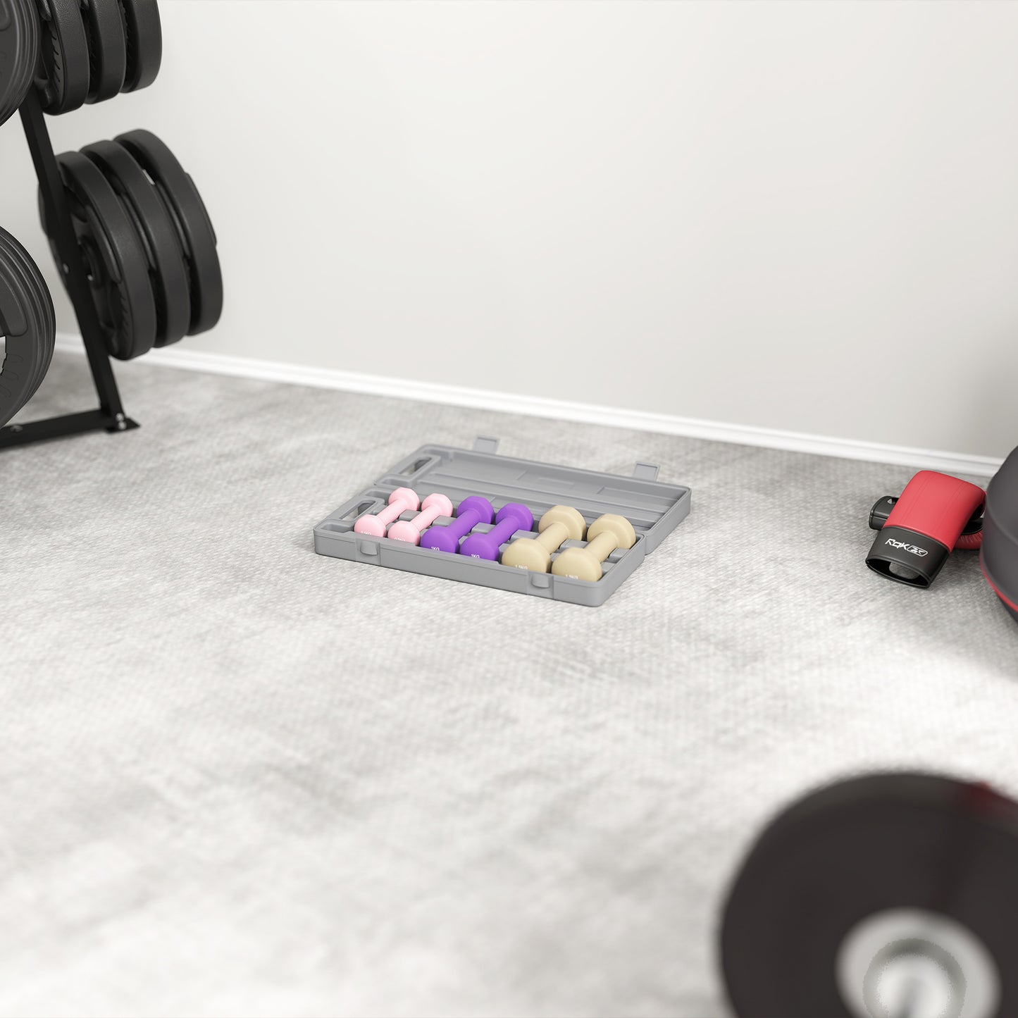 6kg Dumbbell Set, Weights Fitness Dumbbells, Pink, Purple, Brown