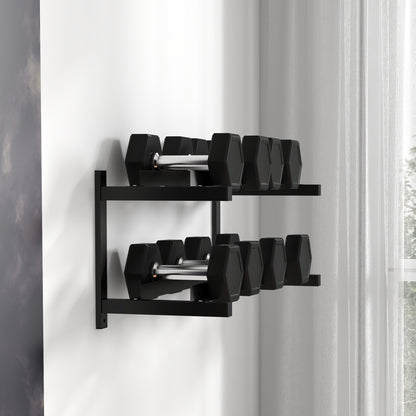 Wall-Mounted Dumbbell Rack, 2-Tier Steel Design, Black