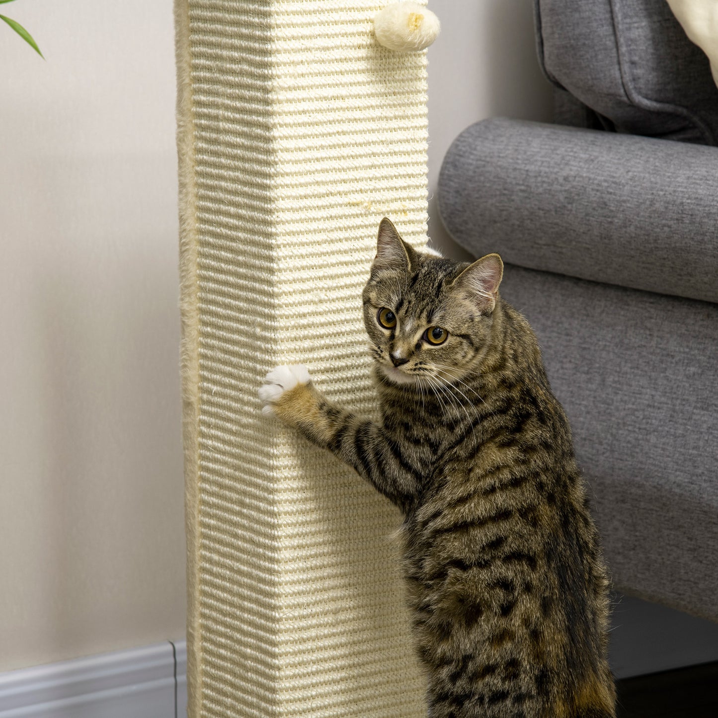 80cm Indoor Cat Scratching Post with Hanging Ball Toy, Particle Board Base, Natural Sisal Rope, Cat Furniture - White