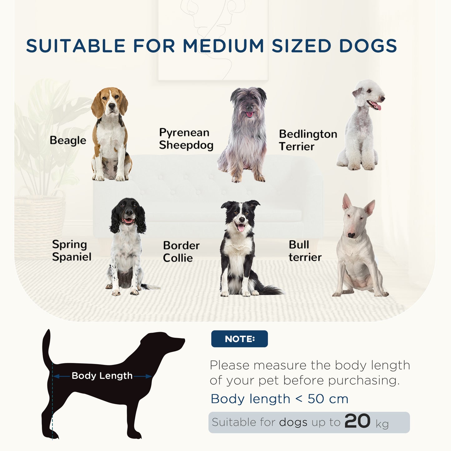 Pet Sofa
