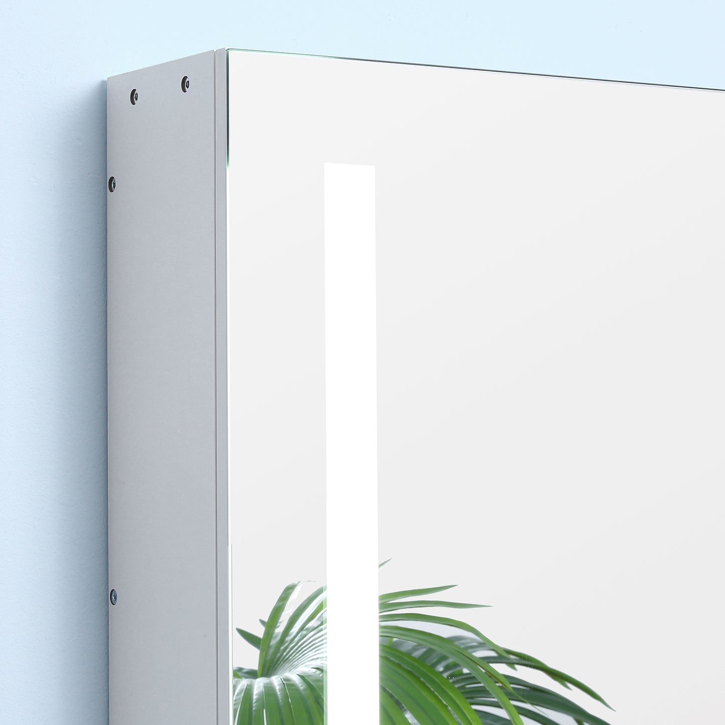 Mirror Cabinet