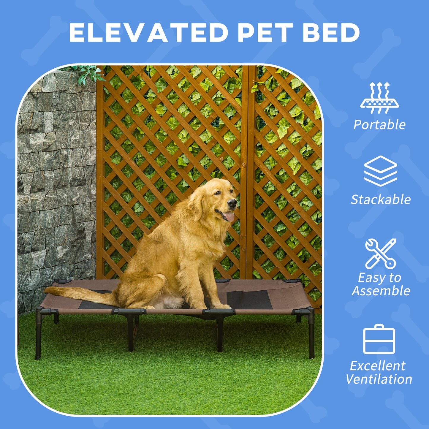 Elevated Dog Bed