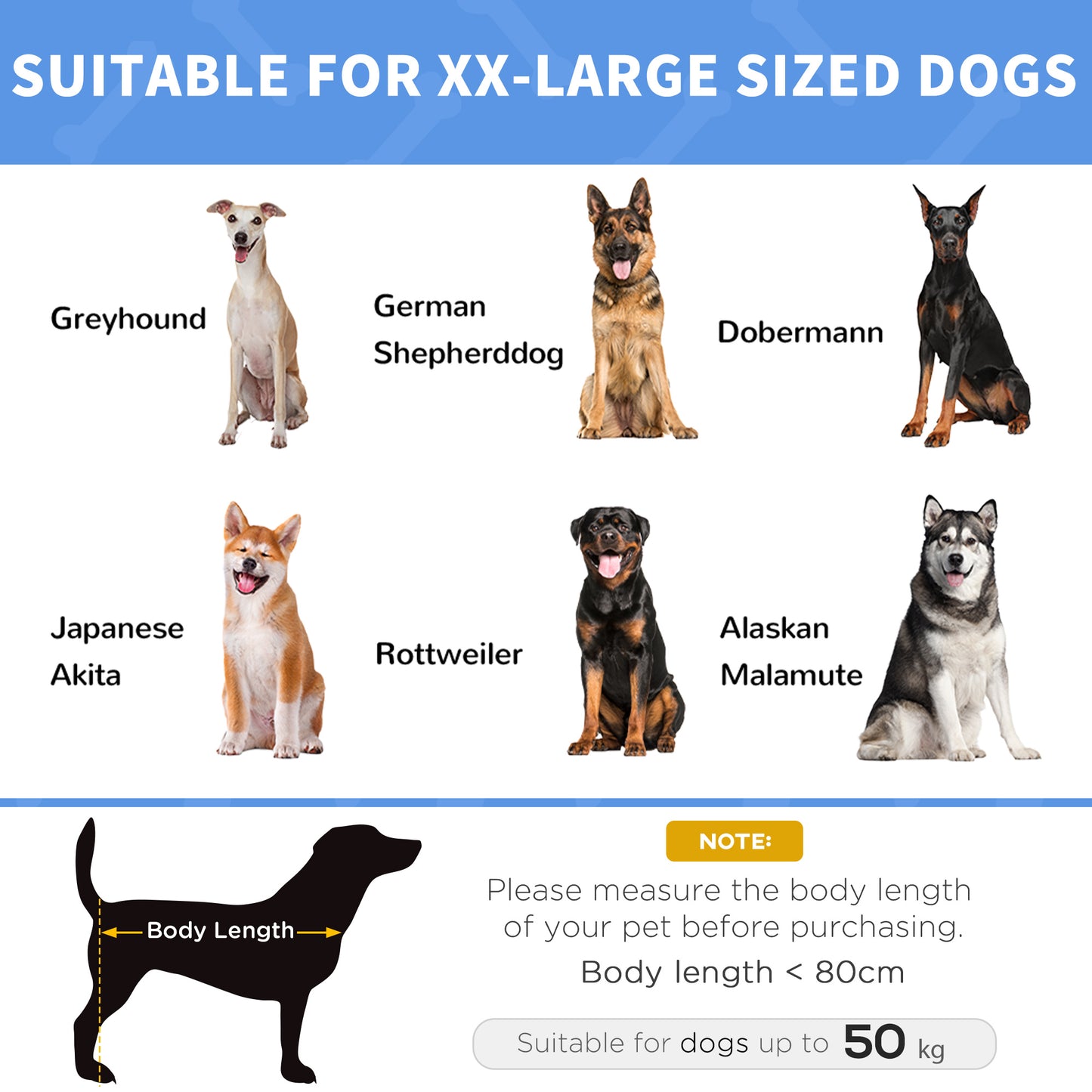 Elevated Dog Bed