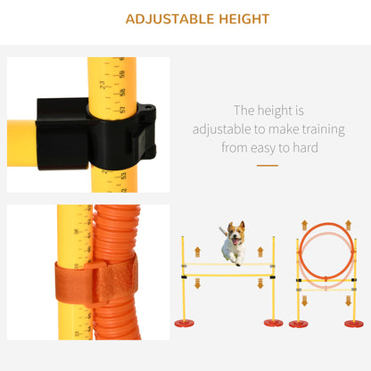 Pet Agility Set