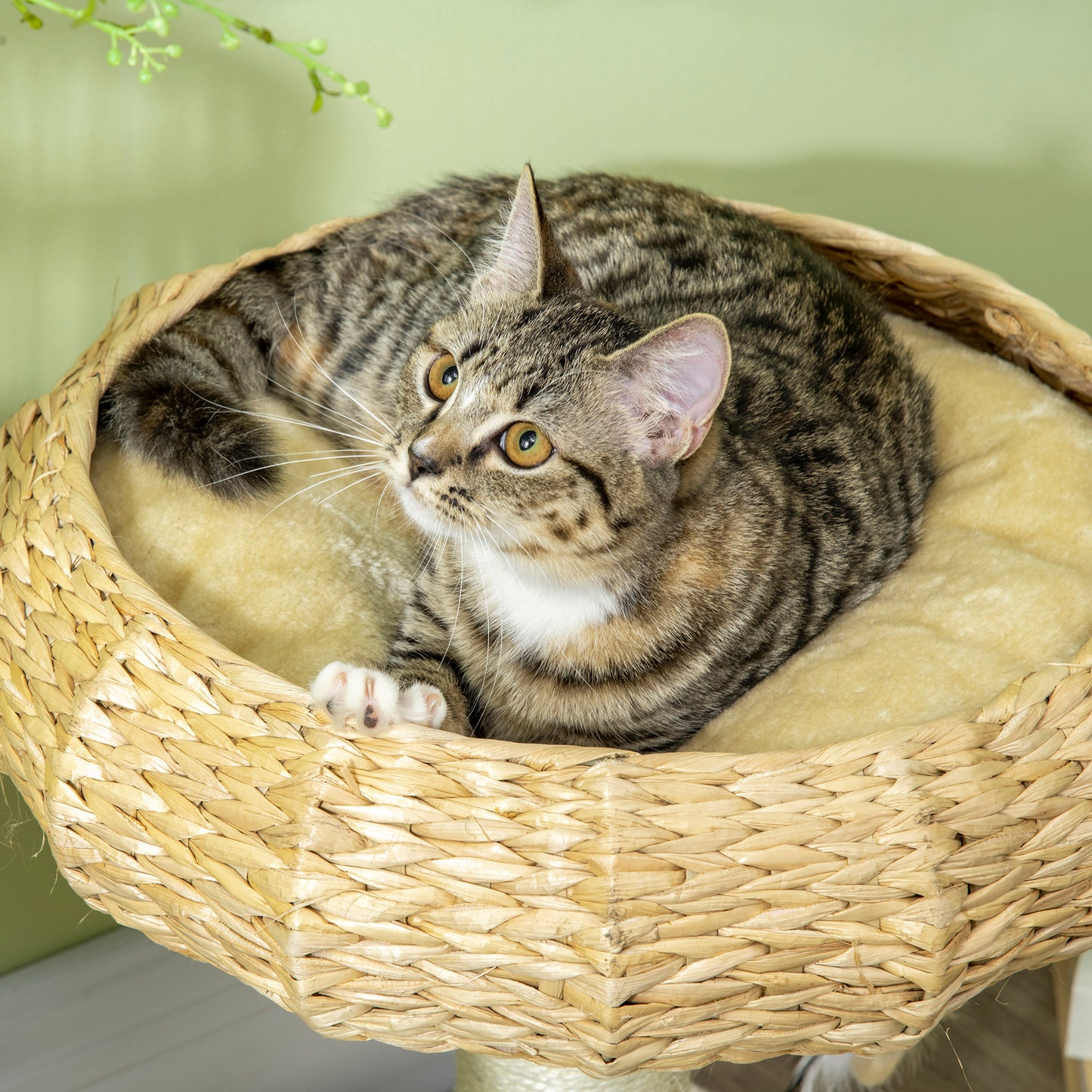 51cm Cat Tree, Kitty Activity Center, Cat Climbing Toy, Cat Tower w/ Cattail Bed, Toy Ball, Scratching Post - Beige