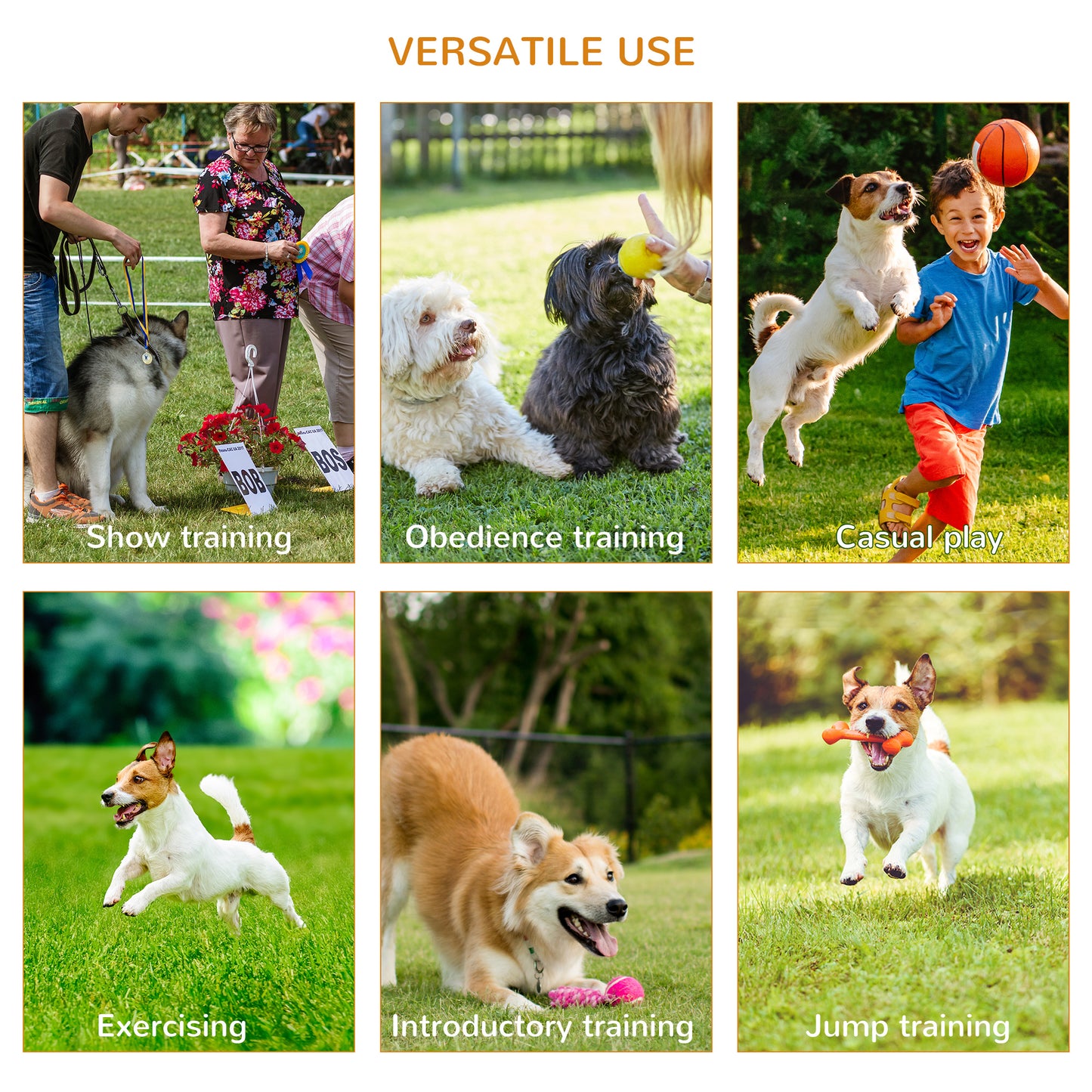 Pet Agility Set
