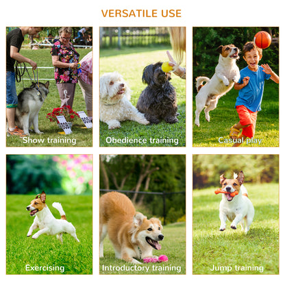 Pet Agility Set