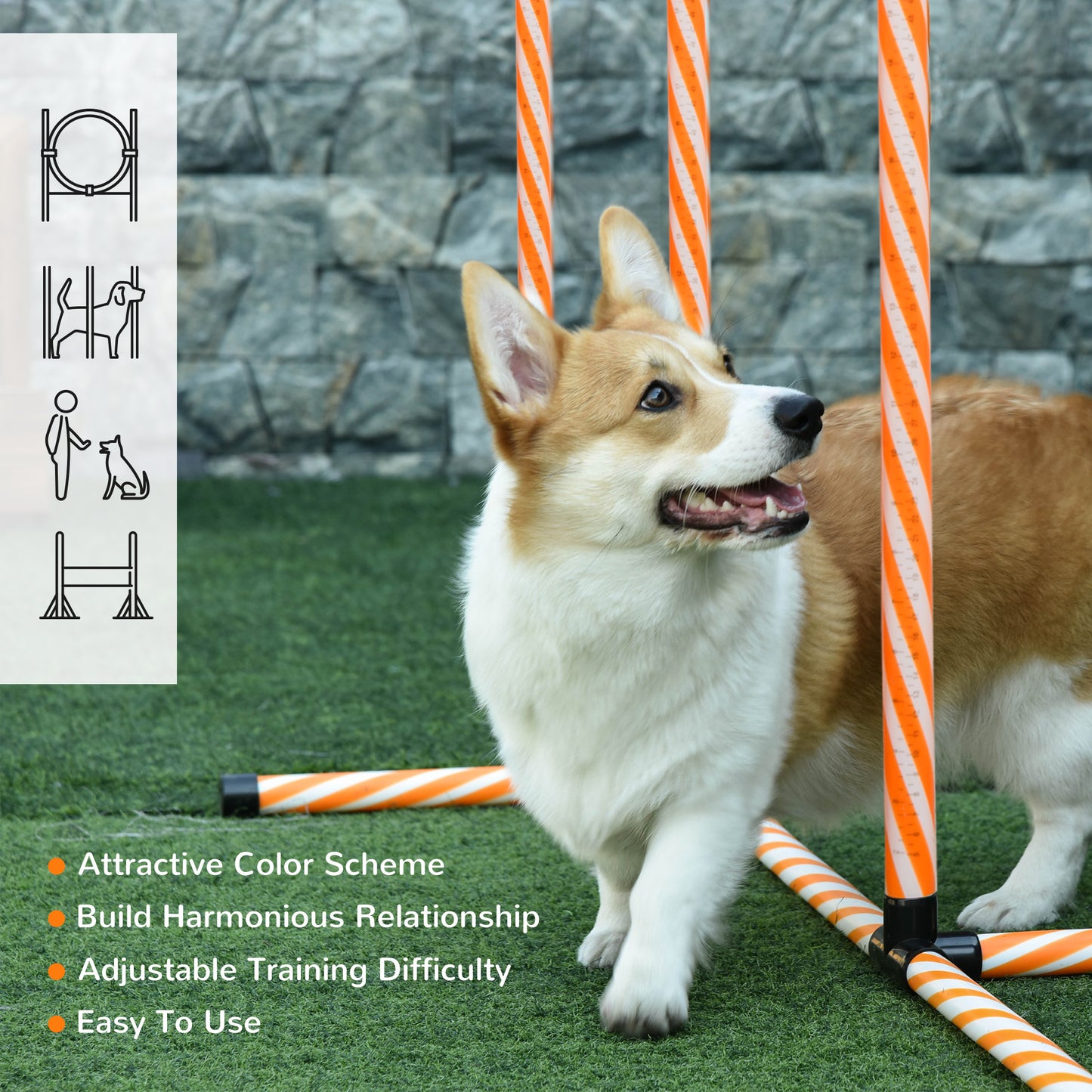 Pet Agility Set