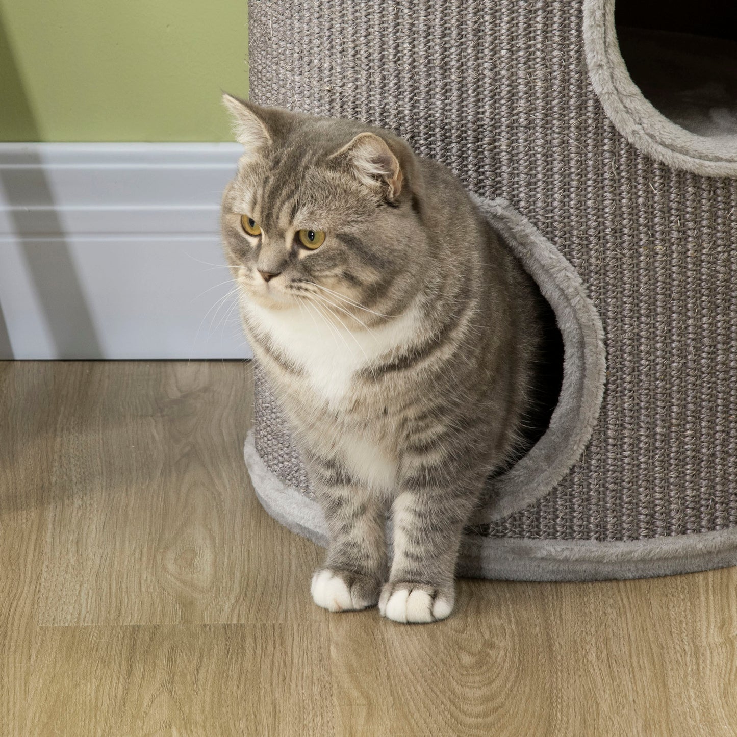 Cat Tower