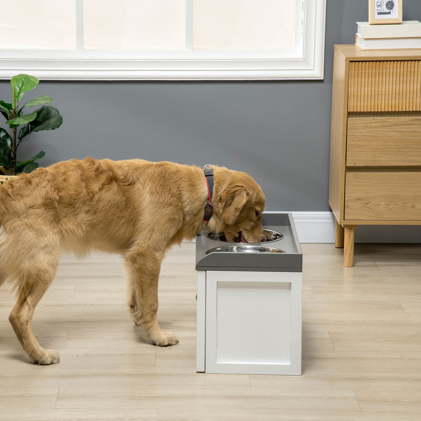 Pet Feeder