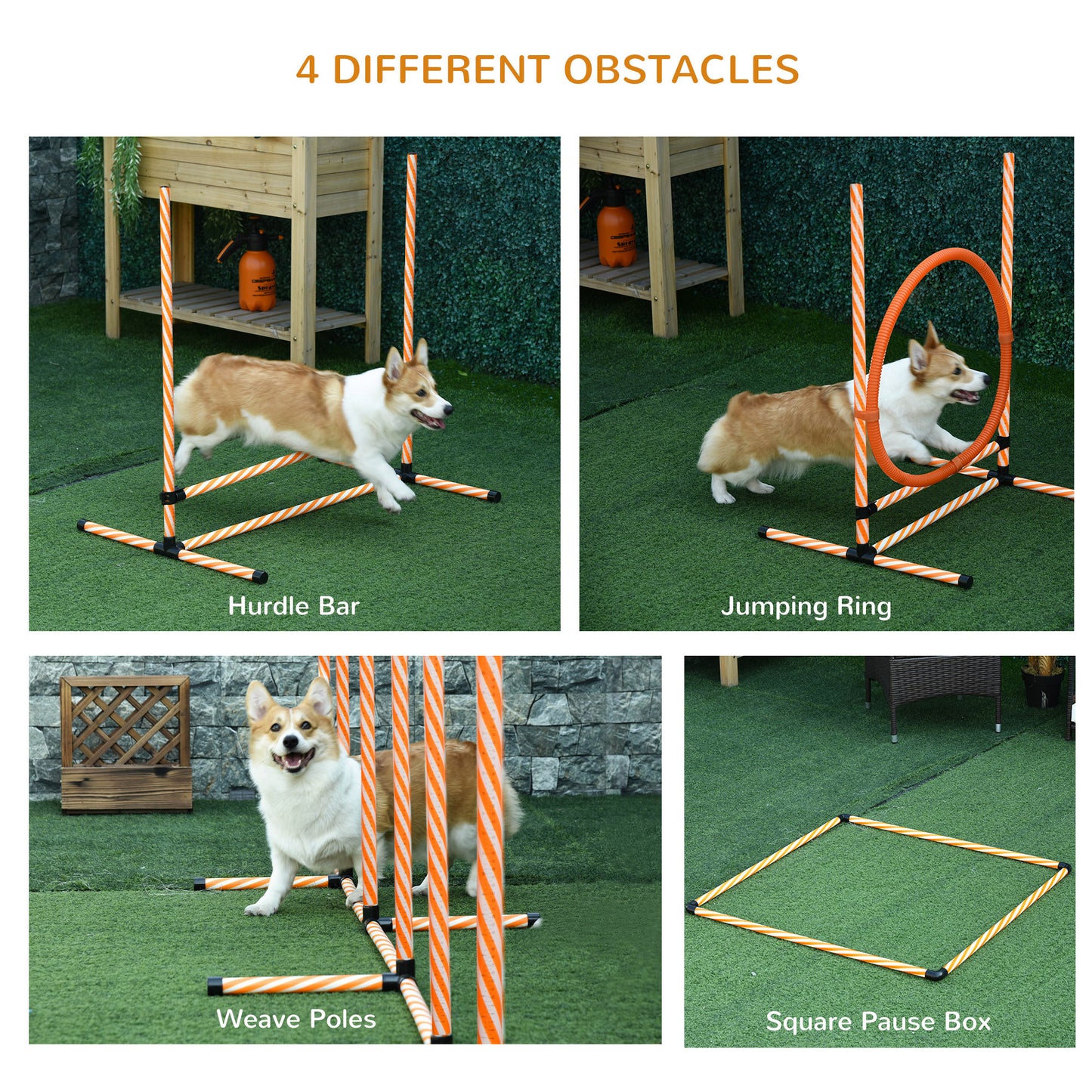Pet Agility Set