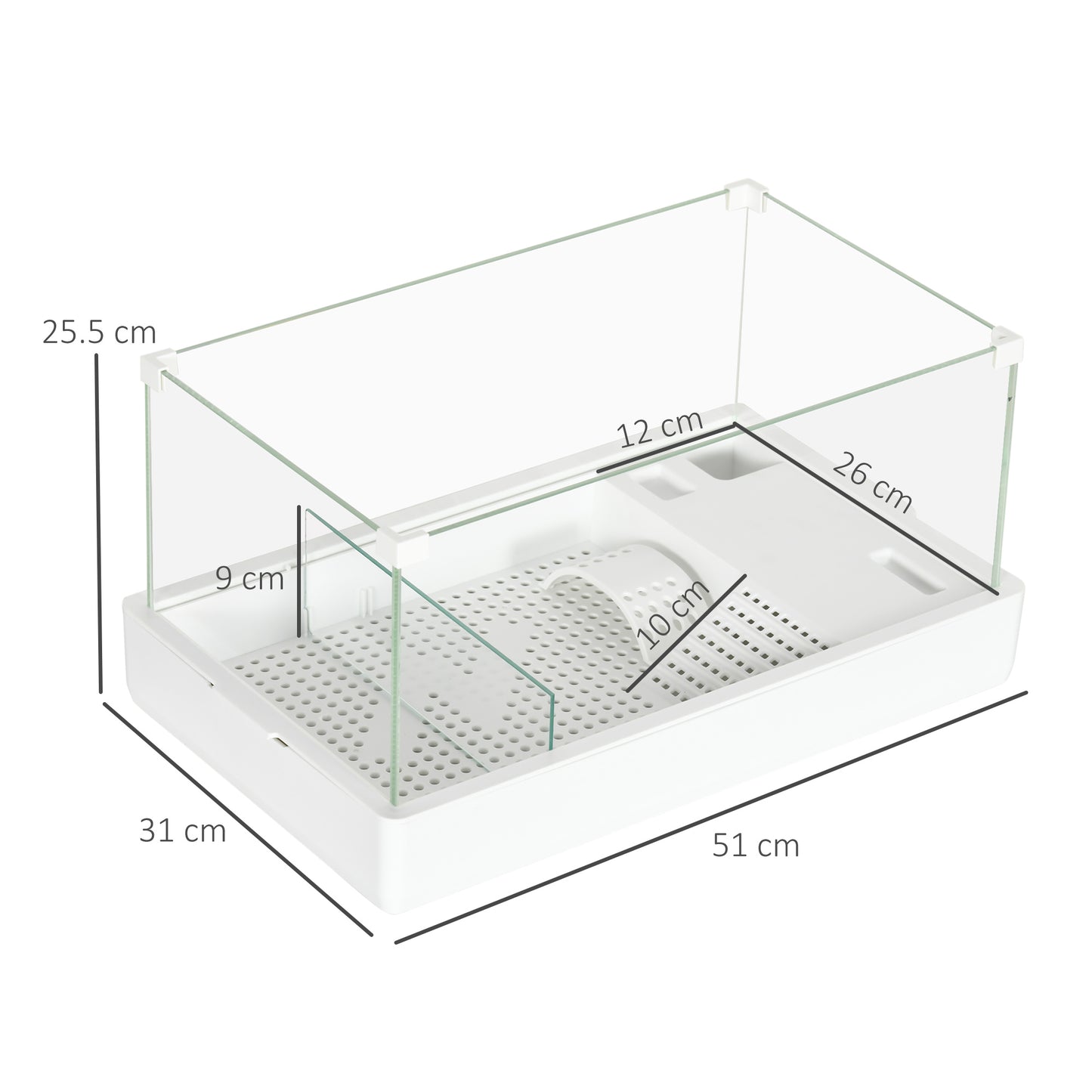 Turtle Tank