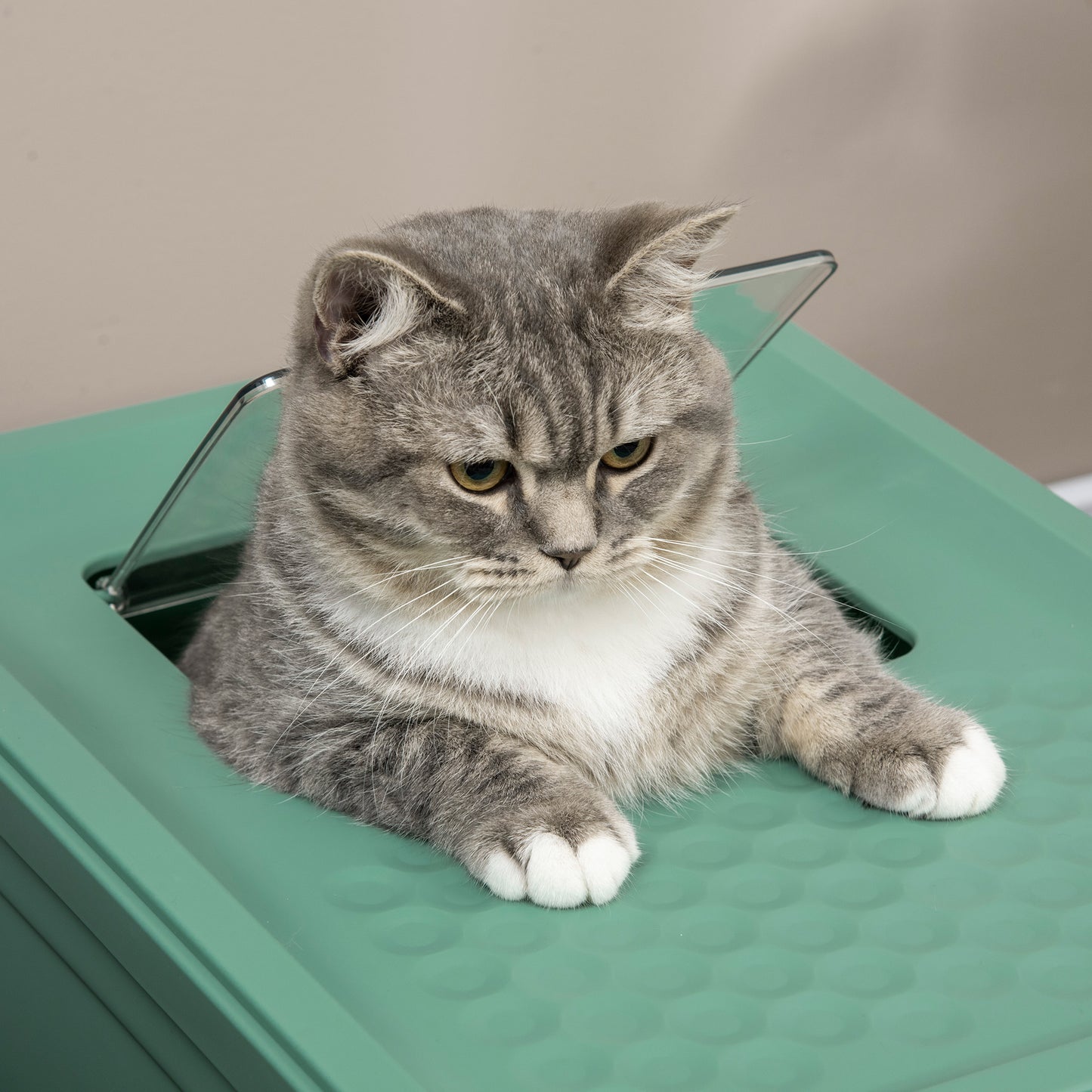 Hooded Cat Litter Box, Portable Pet Toilet w/ Tray, Scoop, Front Entry, 47.5 x 35.5 x 36.7cm - Green