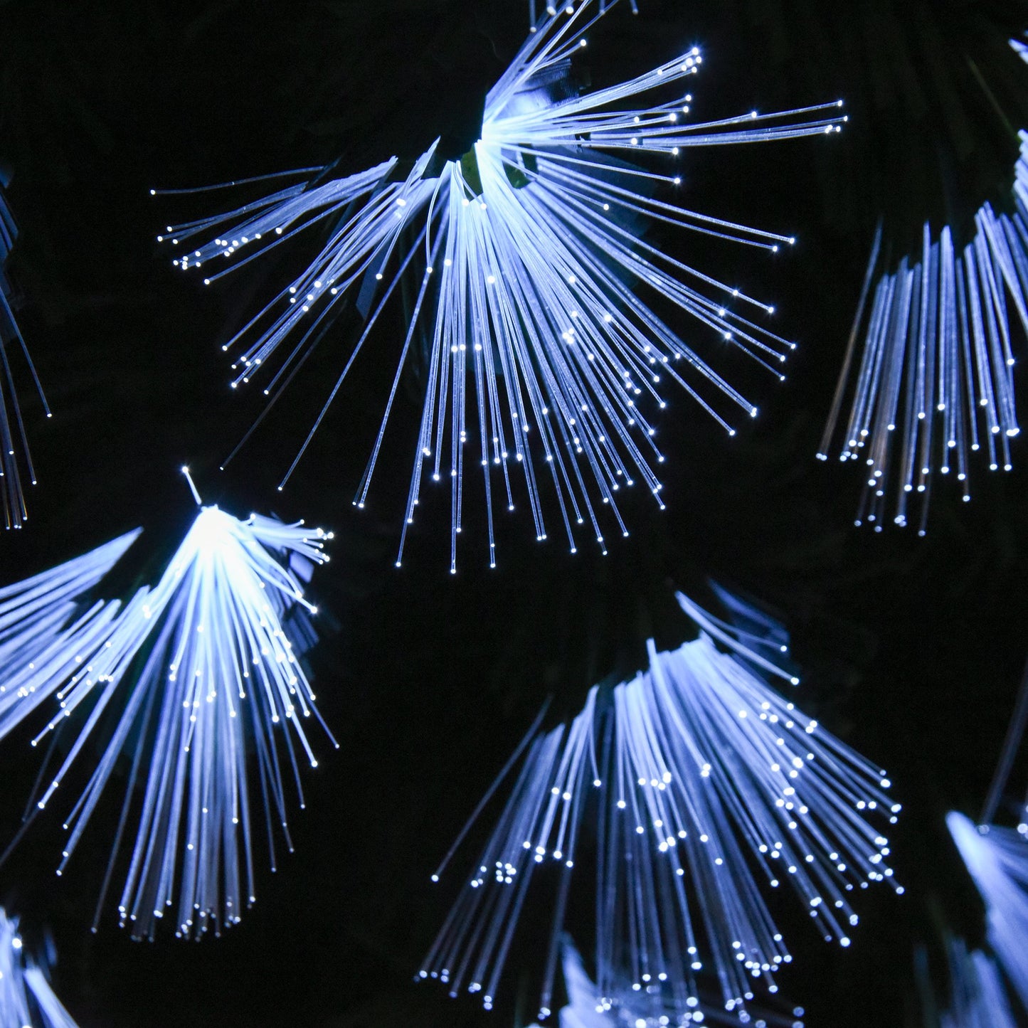 Chirstmas Tree