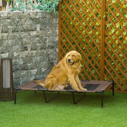 Elevated Dog Bed