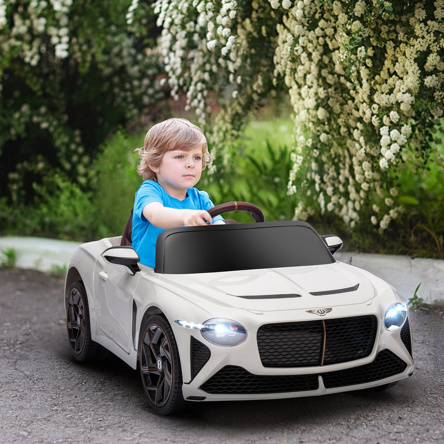 Electric Ride-on Car